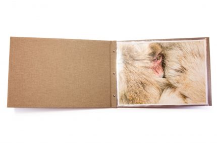 A3 Lnd Hh Light Brown Inner