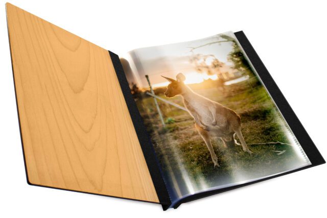 Externla Hinge Timber A4 Prt Inner 3quarter Bound