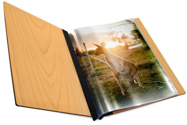 Externla Hinge Timber A4 Prt Inner
