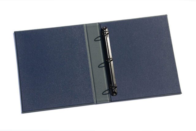 Inner View - Navy Blue Leather & Navy Blue Cloth