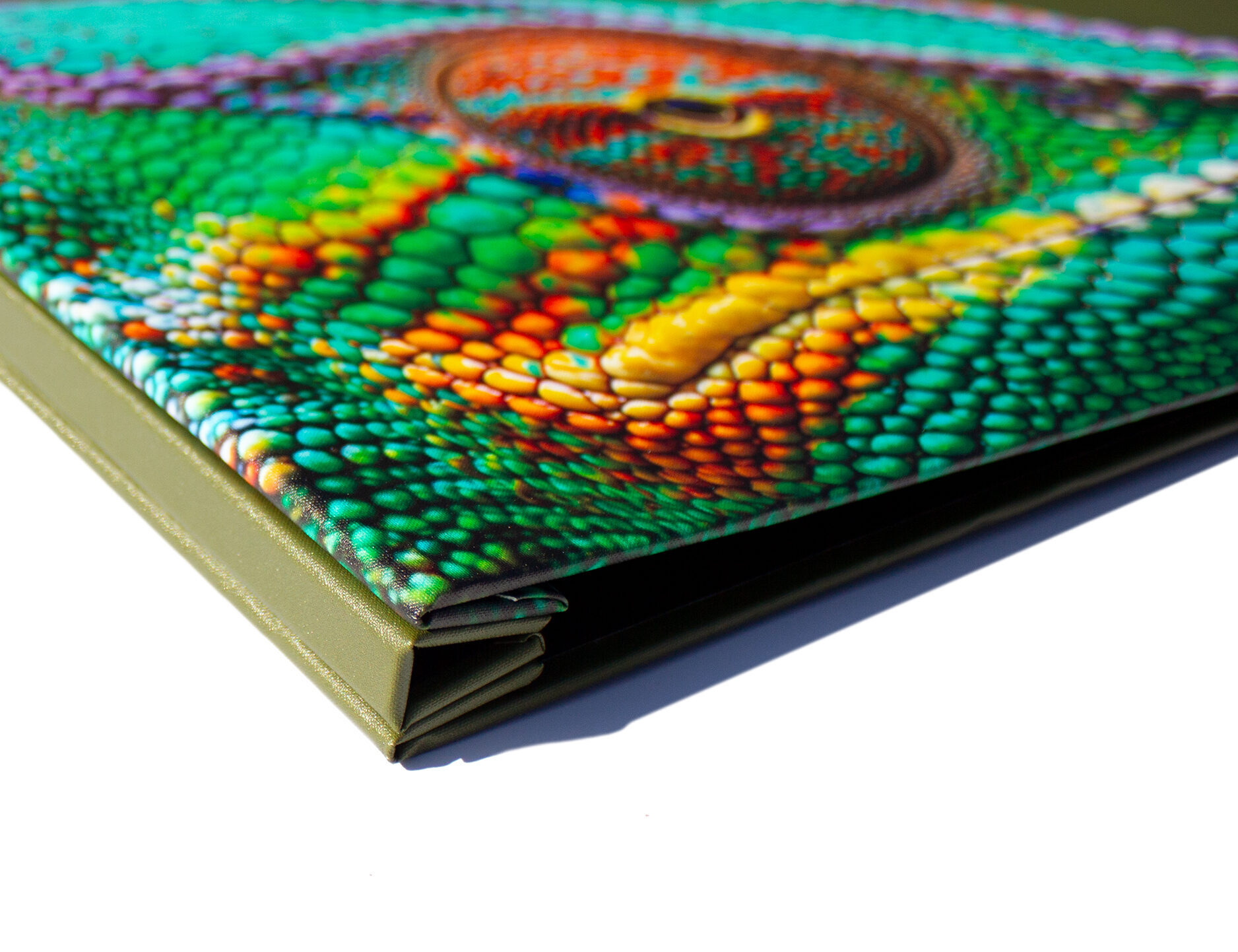 Fcp Pw Pf W Spine Cover 11x17 Lnd Spine View