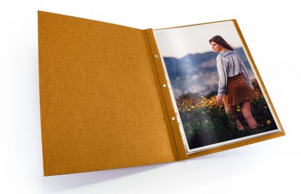 Golden Tan Cloth Screwpost Portfolio - Inner View