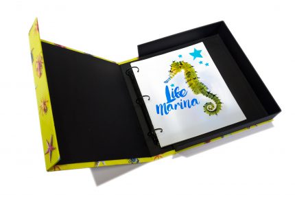Pb Tre A4 Prt 55 Life Marina Pw Inner W Rings 2
