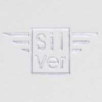 Metallic Silver