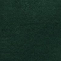 Dark Green MEM