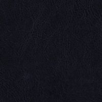 Midnight Blue MEM